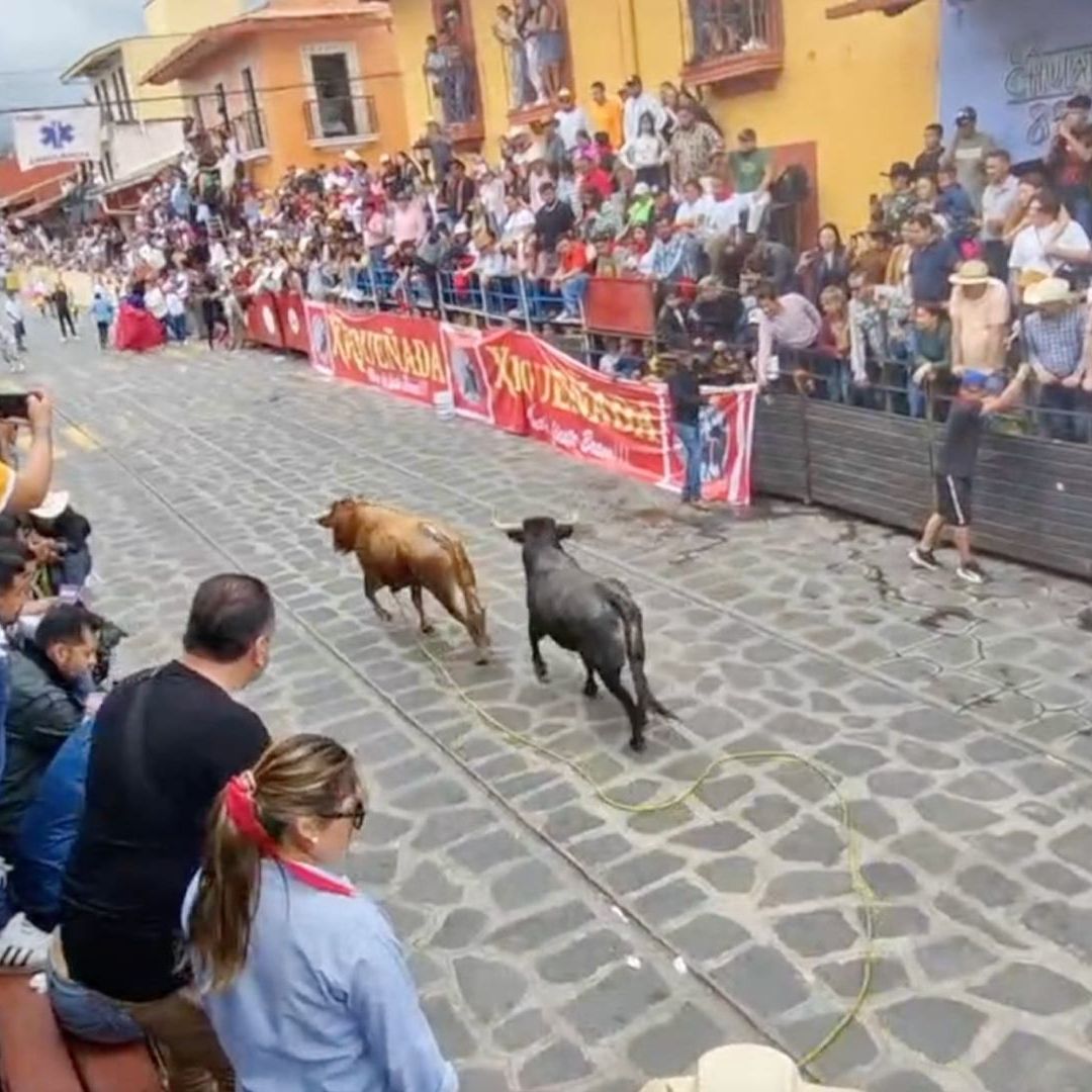 Xiqueñada en Veracruz