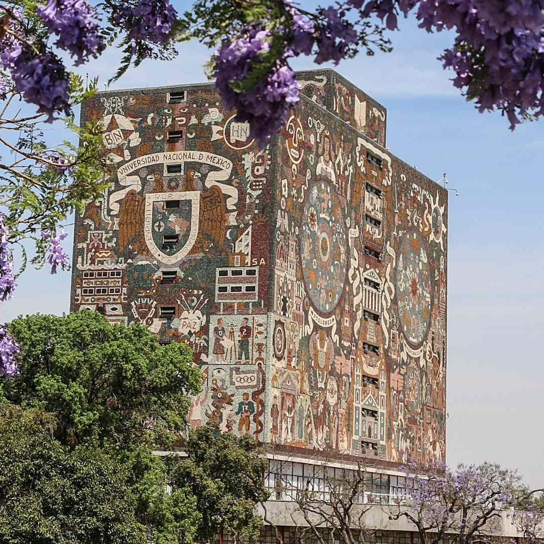 ¡Logran Puntaje Perfecto! ¿Qué Estudiarán Aspirantes que Acertaron Todo el Examen de la UNAM?