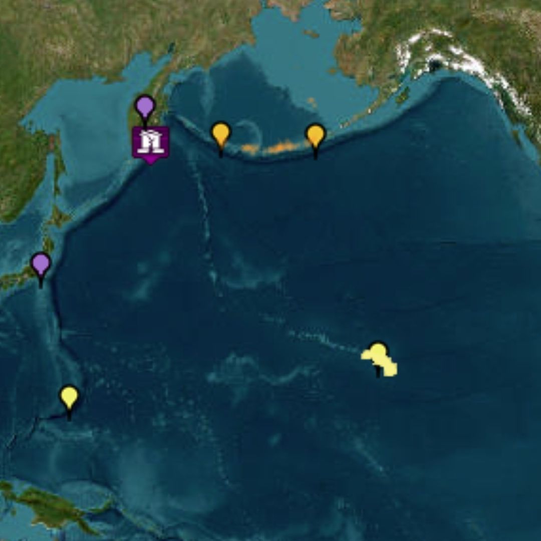 Sismo Magnitud 8.0 Sacude Rusia Hoy 29 de Julio 2025: Activan Alerta de Tsunami en Varios Países