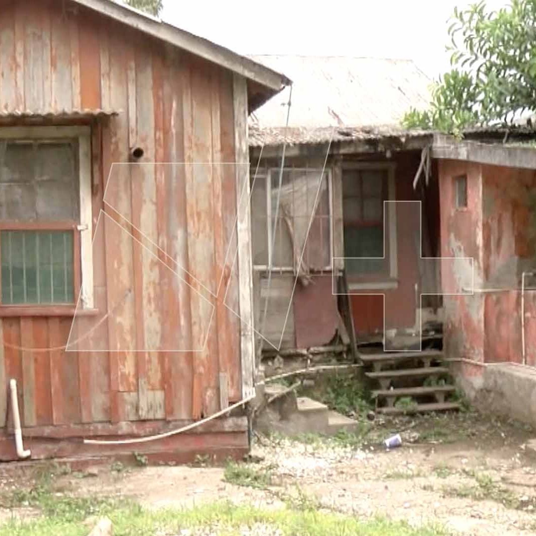 Mapaches Invaden Casa Abandonada en Tampico; Reportan Ataques y Robos de Comida