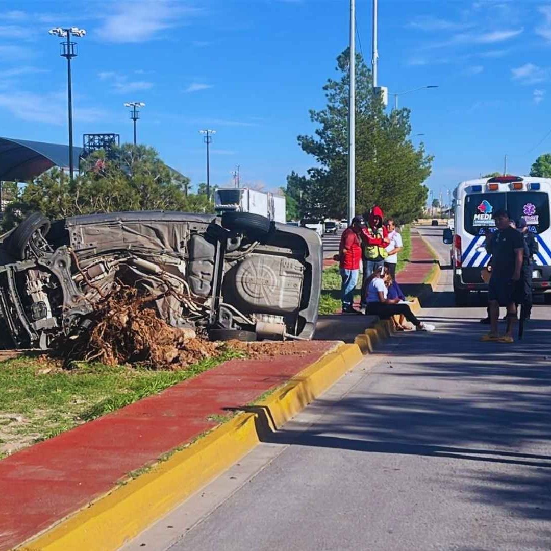 La Mujer Arrancó un Árbol de Raíz con su Vehículo | Foto: N+