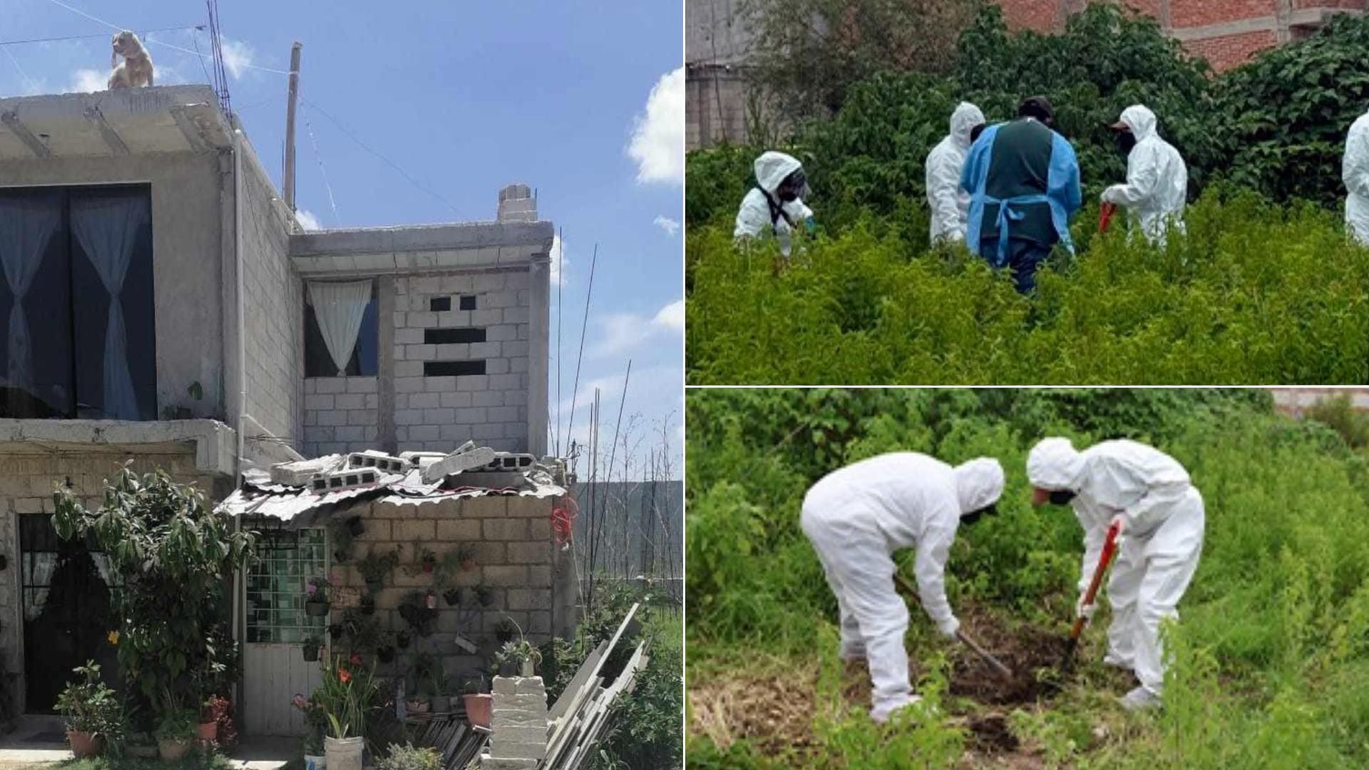 Primera Exhumación de un Perro por Crueldad Animal en Colonia Vista del Valle en Puebla