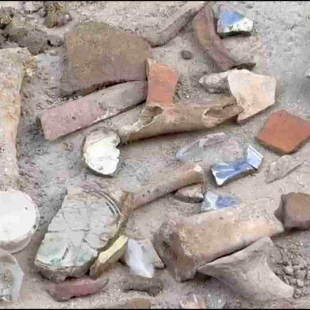 Debido a las obras del centro histórico de Veracruz, se han registrado diversos hallazgos. Estas obras también han afectado a los comerciantes.