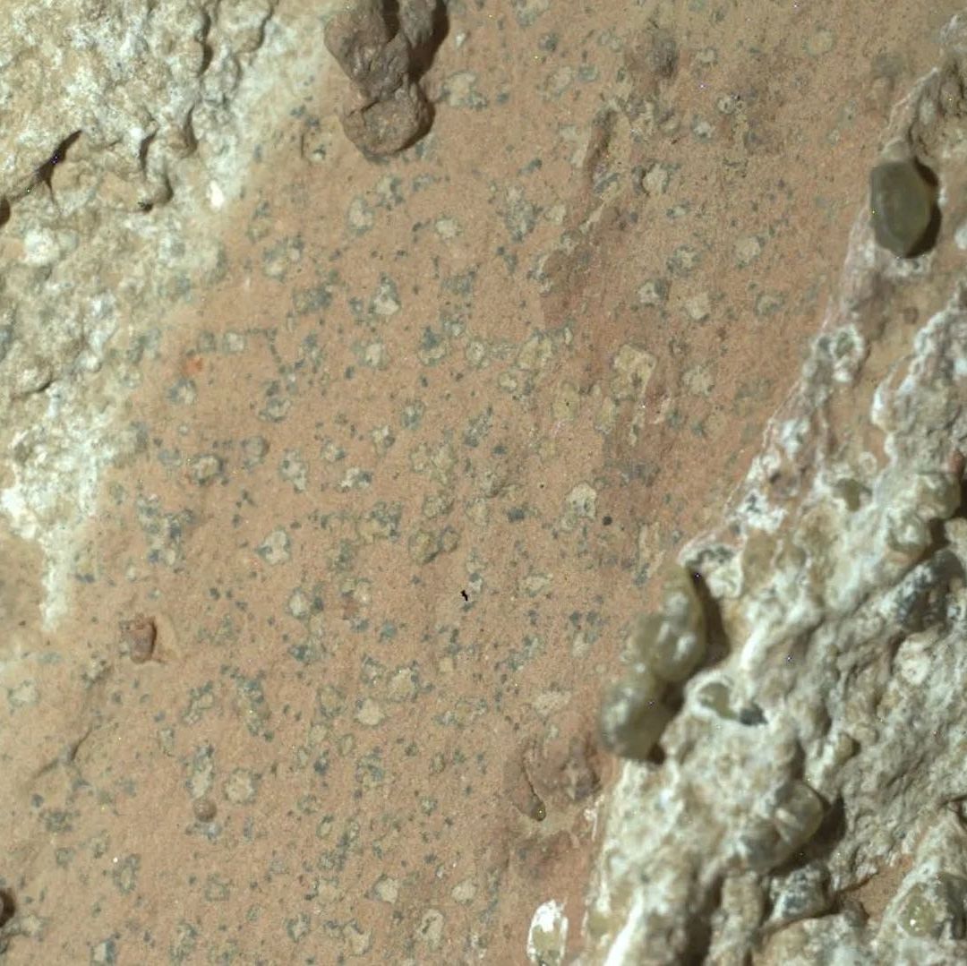 El róver Perseverance encuentra rocas asociadas a bacterias