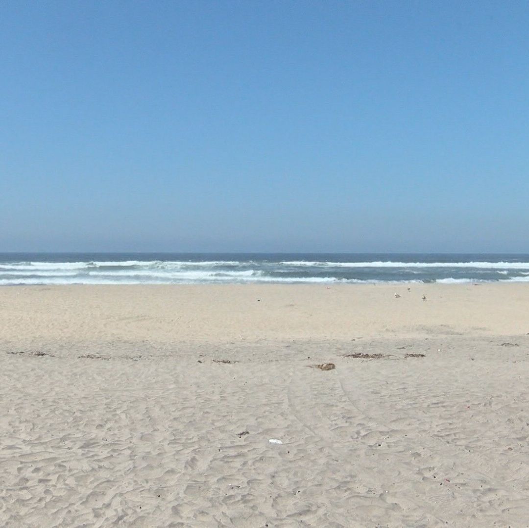 Embarcación Varada y Lobos Marinos Muertos por Red de Pesca Abandonada en San Quintín