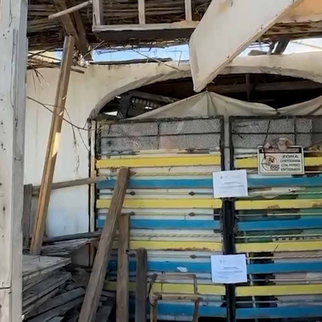 Aseguran Drogas y Armas Durante Cateo de Casa en Coahuila