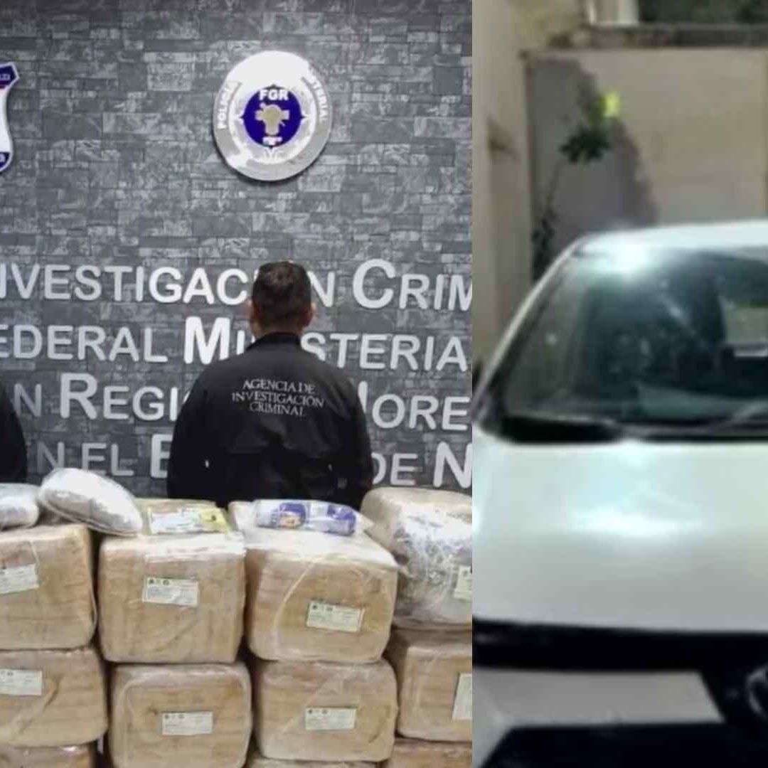 Aseguran Más de 350 Kilos de Marihuana en Apodaca Durante Cateo