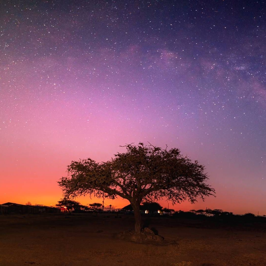 En Huasca de Ocampo, Hidalgo, se encuentra la reserva de Peña del Aire, la primera que recibirá la distinción de cielo oscuro en México