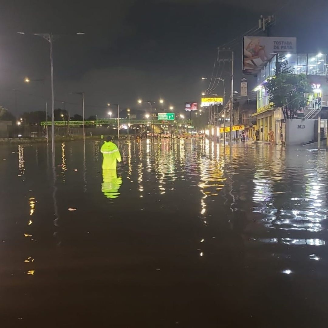 Saldo de las Lluvias en la CDMX: Encharcamientos, Caída de Árboles y Afectación en el Metro