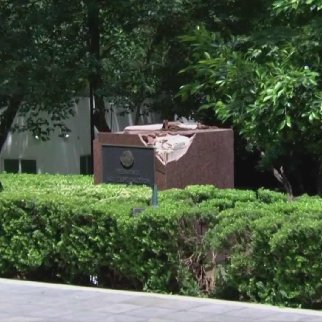 ¿Qué Pasará con la Estatua del Expresidente Felipe Calderón Tirada por un Árbol?