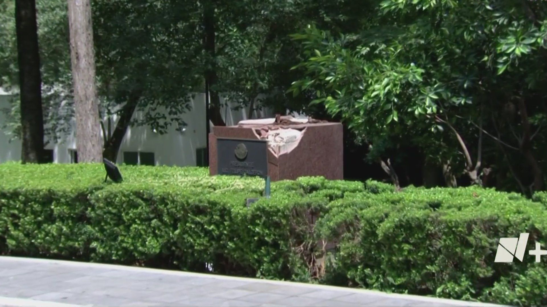 ¿Qué Pasará con la Estatua del Expresidente Felipe Calderón Tirada por un Árbol?