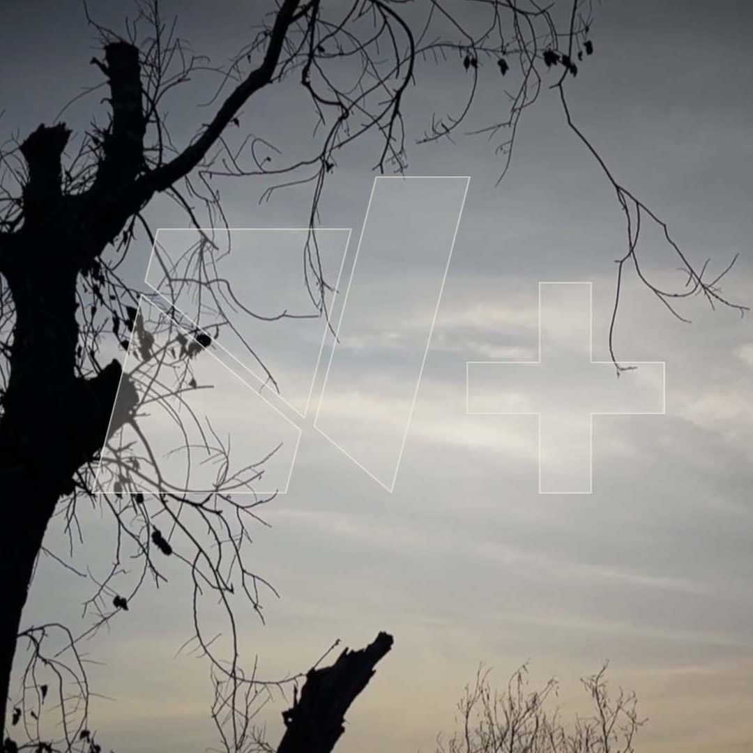 ¿Evento Paranormal en Tamaulipas? Vecinos Captan Presuntos Llantos y Sonidos Misteriosos