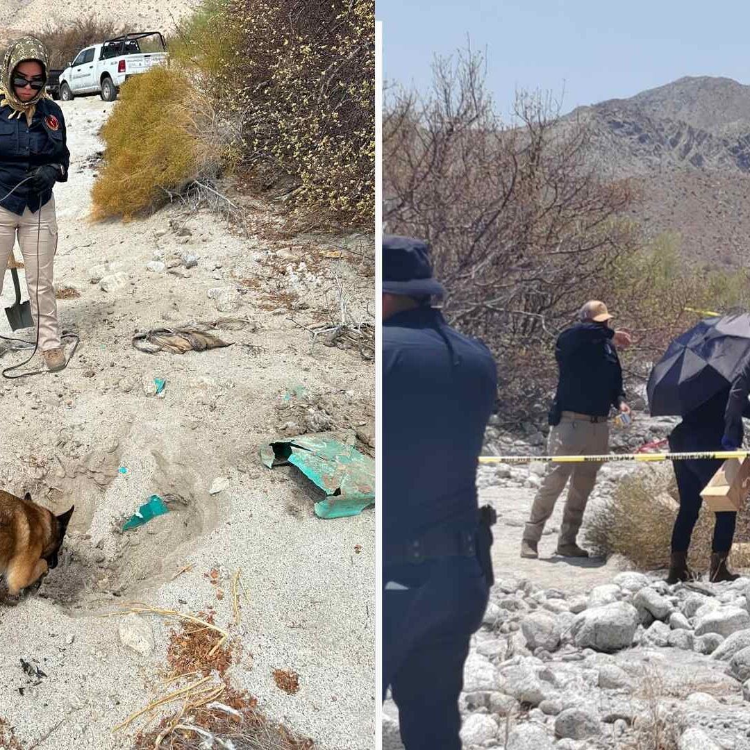 Hallan Restos Humanos en Zona Desértica de San Felipe en Baja California