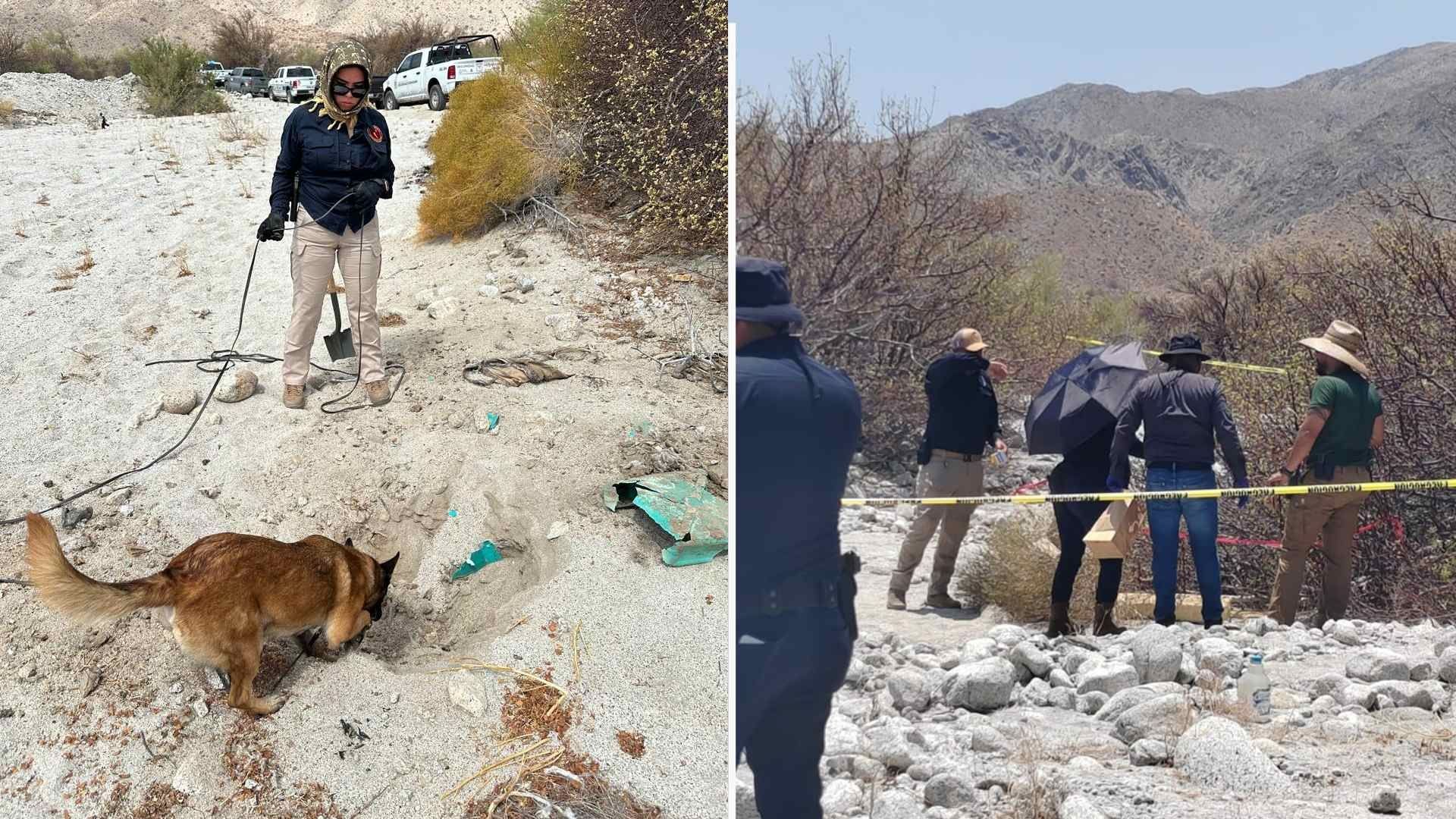 Hallan Restos Humanos en Zona Desértica de San Felipe en Baja California