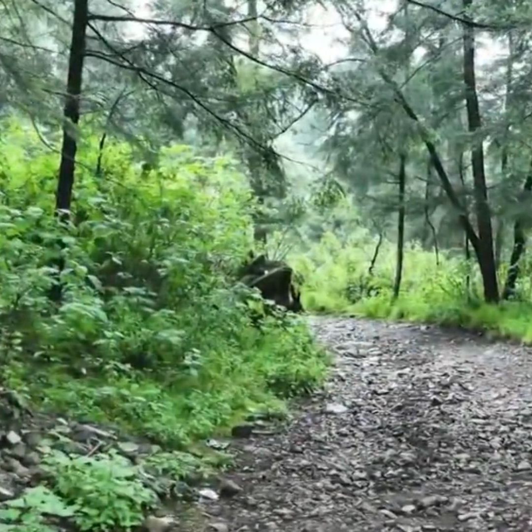 Ajusco, Zona Denunciada por Años Como un Tiradero de Cuerpos