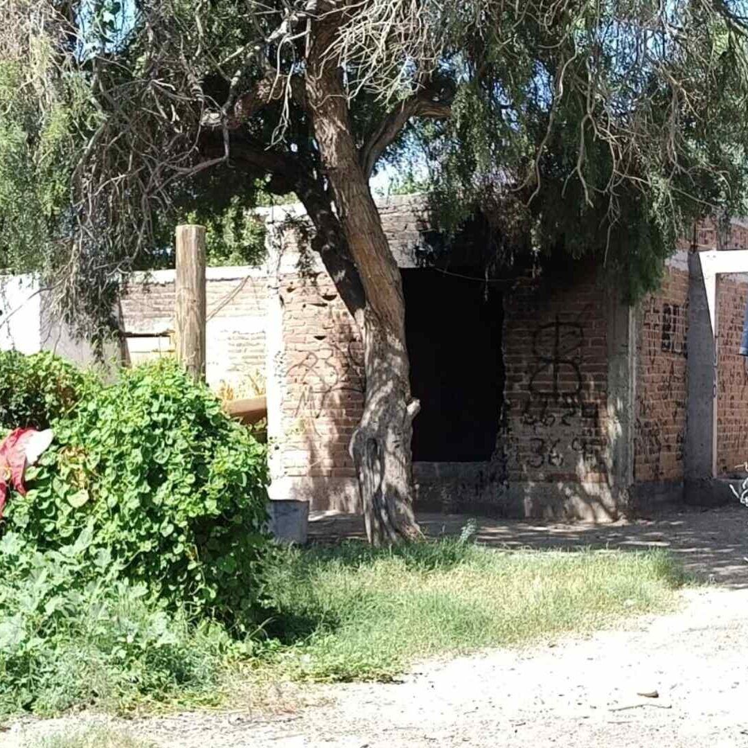 Buscadoras por la Paz Encuentran a Joven Sin Vida Dentro de Obra Negra Abandonada en Hermosillo