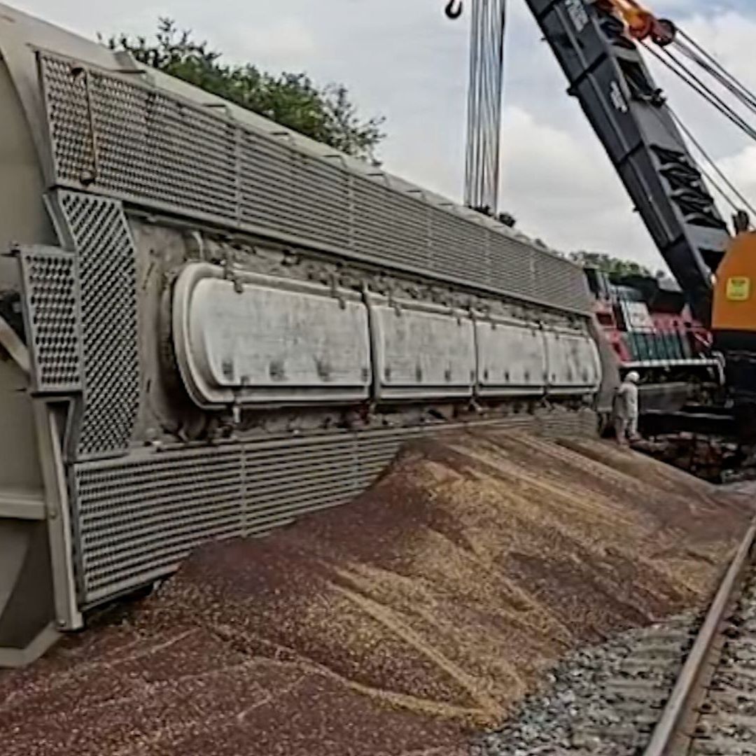Tren descarila por robo de partes de vías.