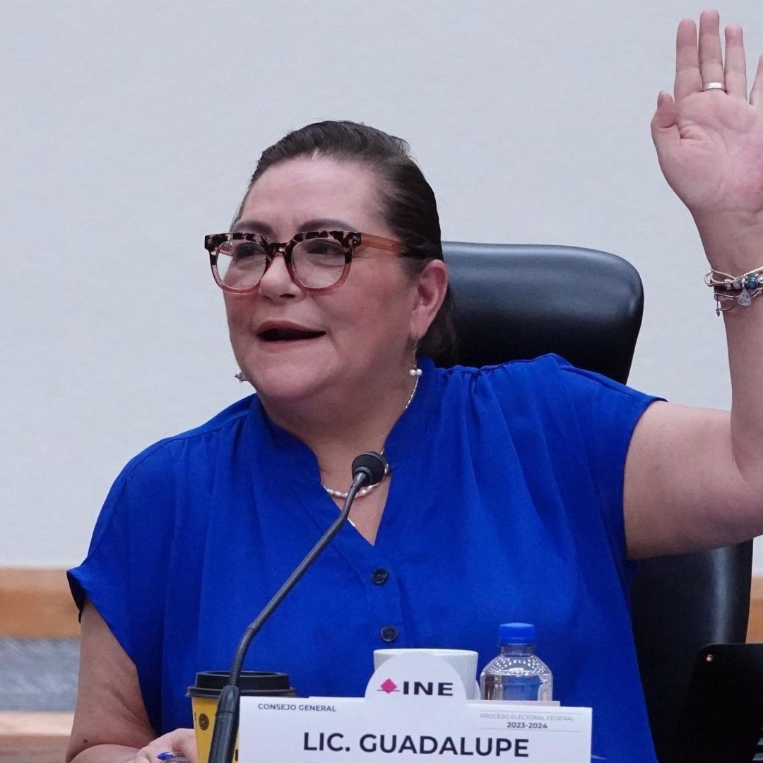 Asignación de Diputaciones Plurinominales Será Conforme a Constitución: Taddei