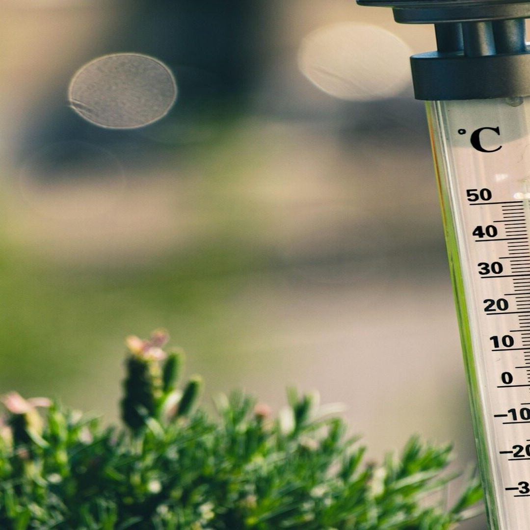 ¿Hasta Cuándo Estará la Onda de Calor en Sonora? Pronostican Temperaturas Mayores a 47ºC