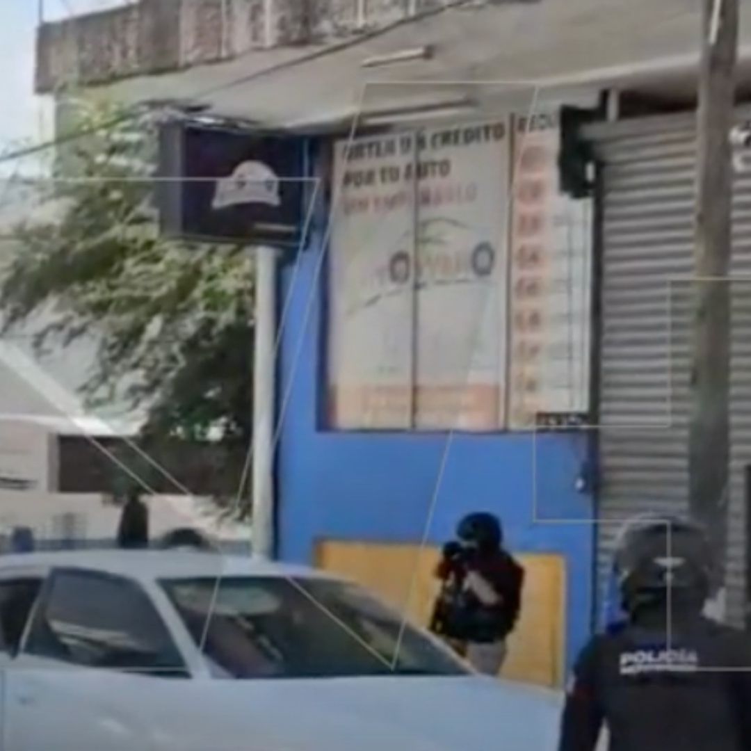 Cateo en el Centro de Monterrey