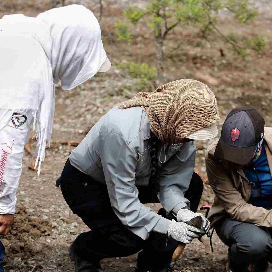 Familiares de desaparecidos registran ola de asesinatos y desapariciones en México.