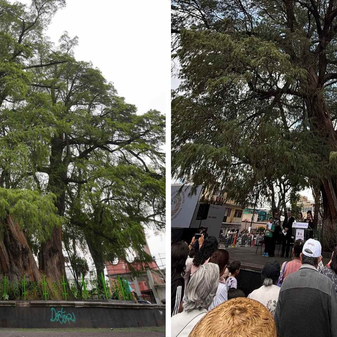 'Viejo del Agua', 700 Años Viendo la Transformación de la Hoy Ciudad de México