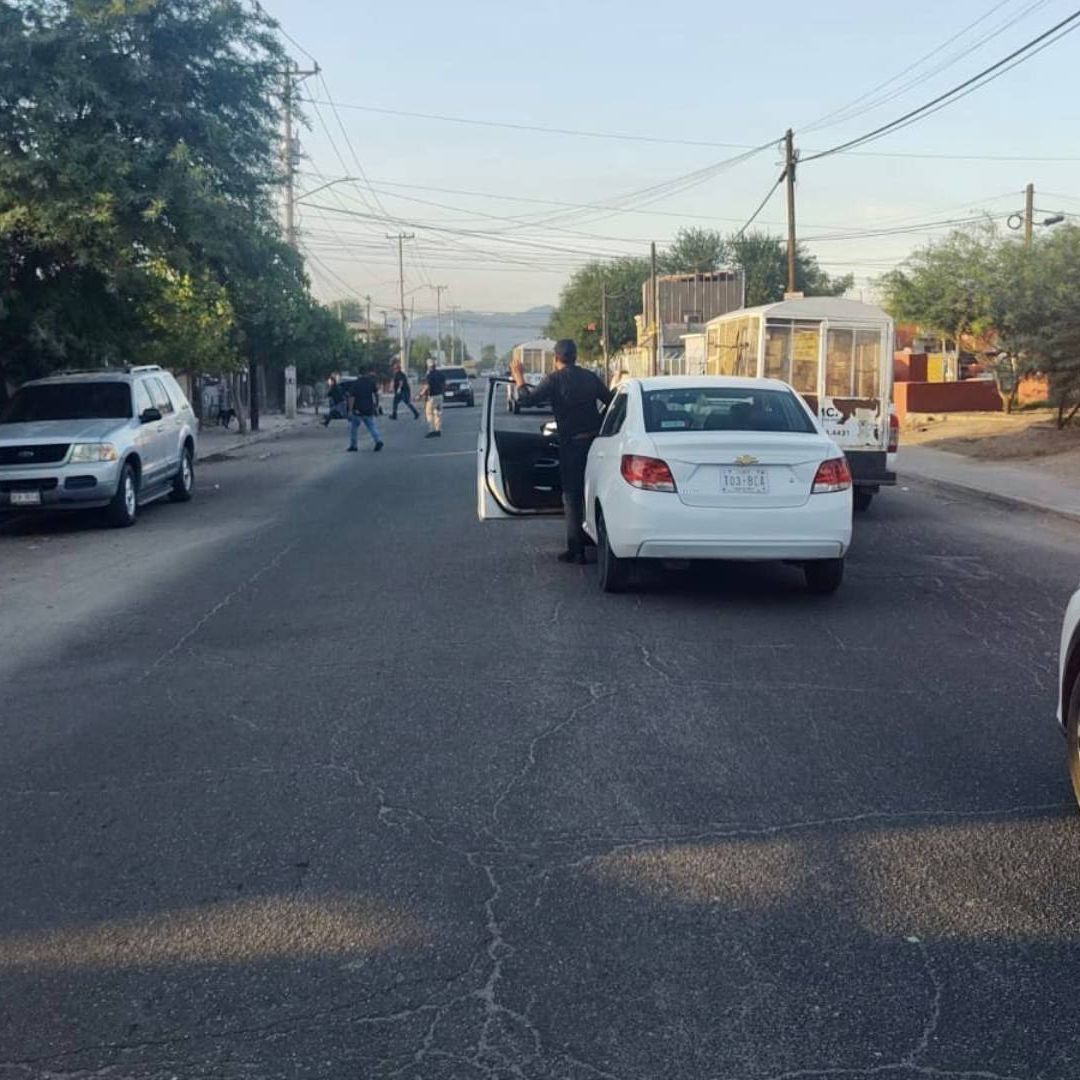 Rescatan a 55 Perros Callejeros en Mexicali: Estaban Deshidratados y Desnutridos