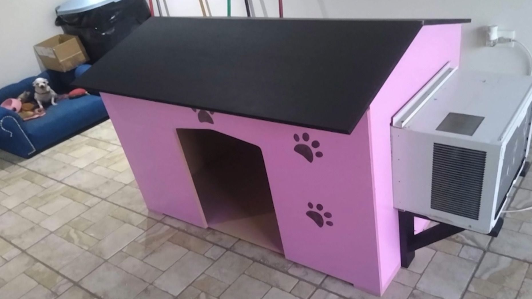 Carpintero Construye Casitas para Mascotas con Aire Acondicionado en Hermosillo