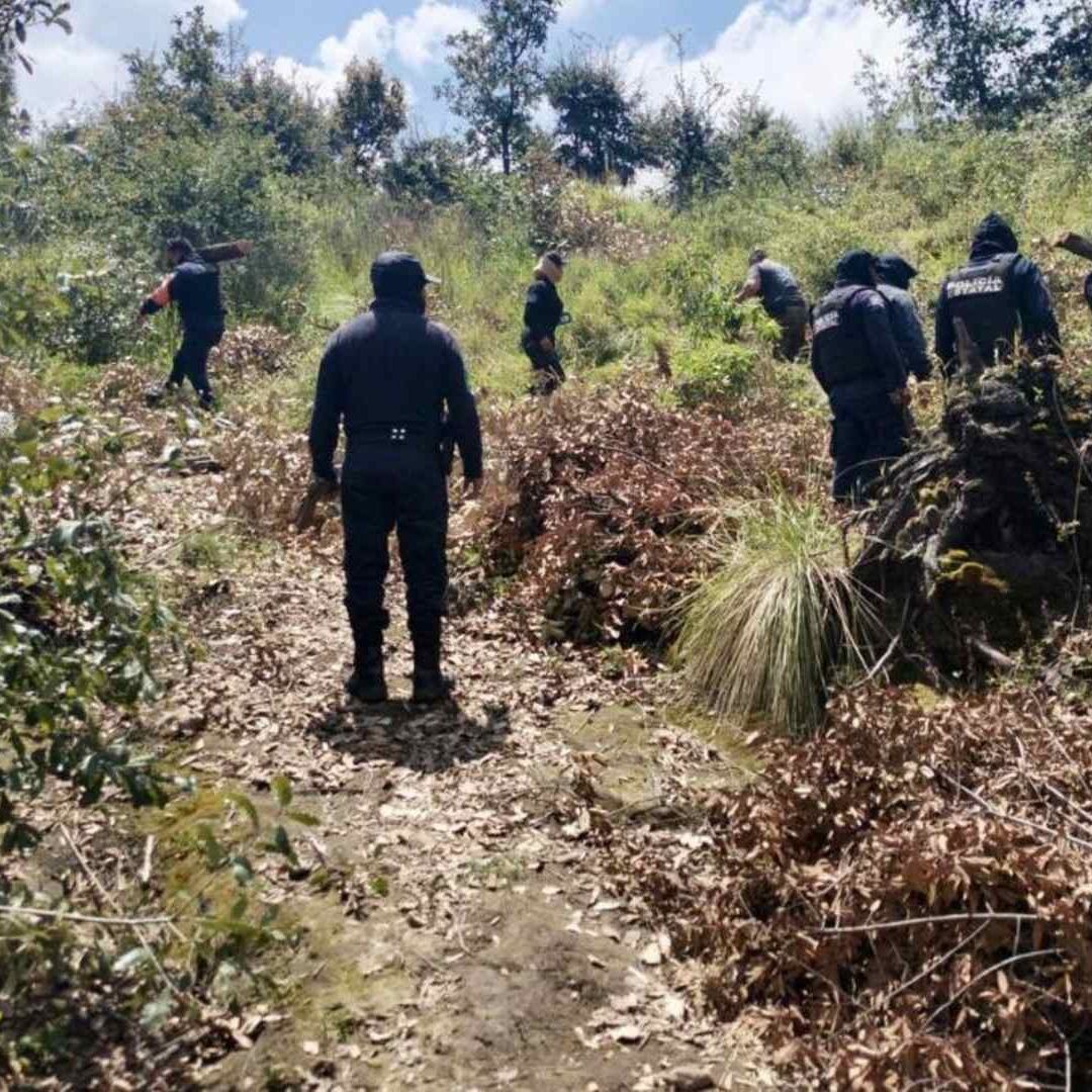 Tres Hornos Clandestinos de Madera Asegurados en Parque Nacional La Malinche Puebla y Tlaxcala