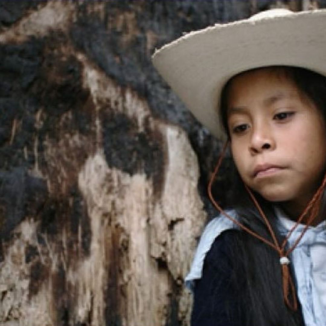 ¿Quién es Danae Ahuja? La Primera Niña Mixteca Nominada al Ariel 2024 Por Esta Película