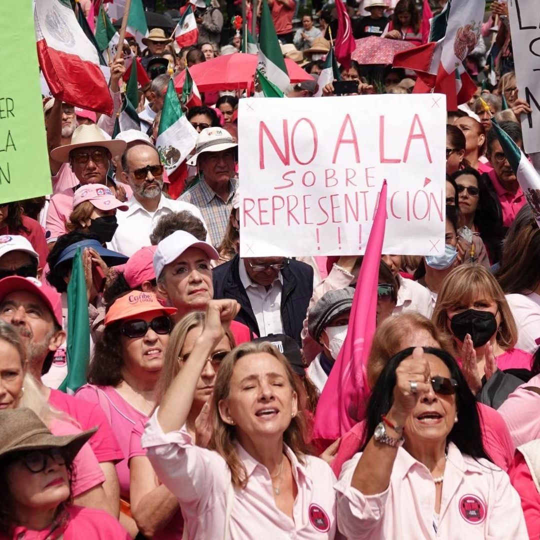 Marea Rosa Realiza Concentración en el INE