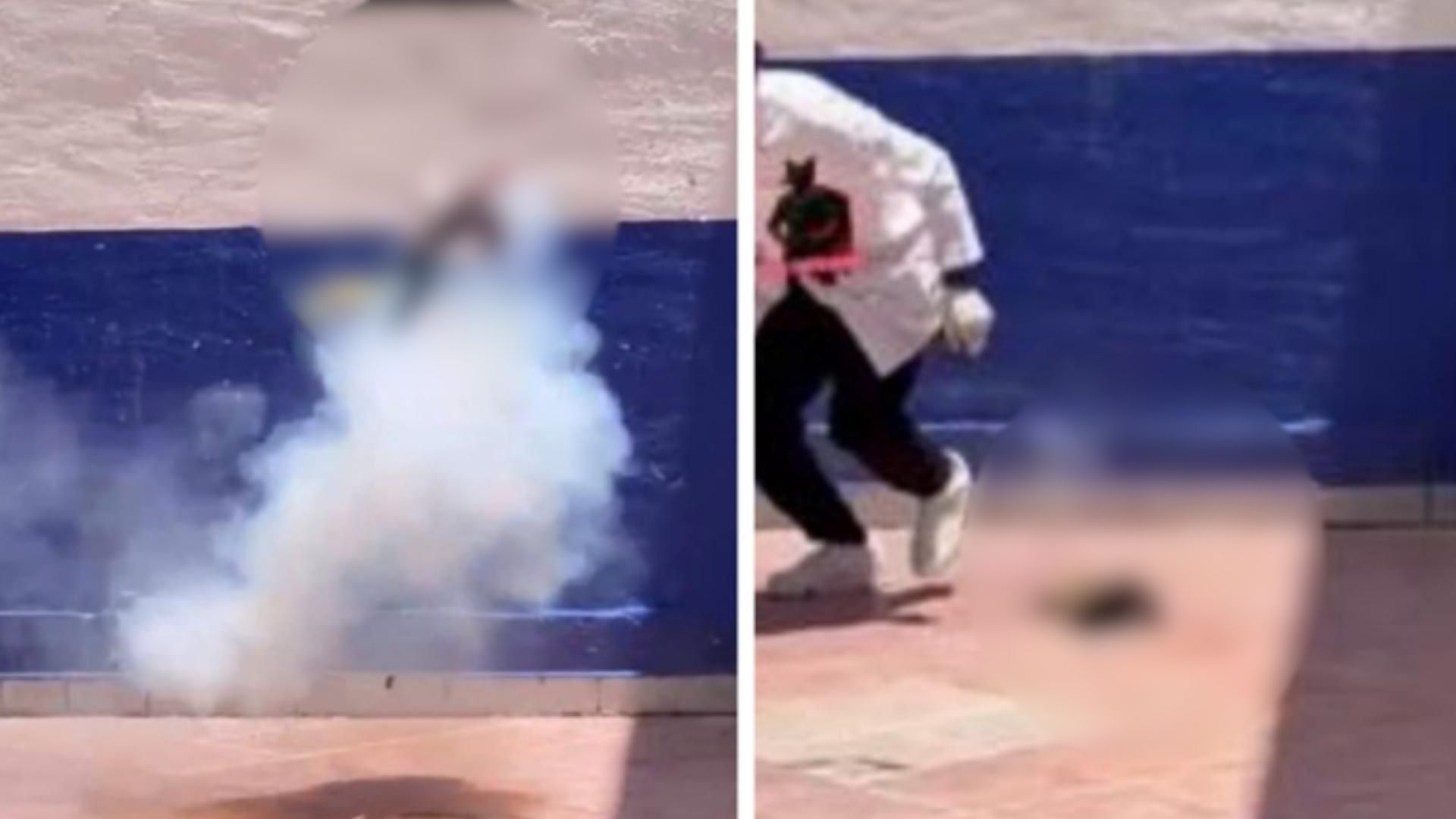 Estudiantes de Criminología Presuntamente Matan a Gato en Guanajuato; Le Colocaron Pirotecnia