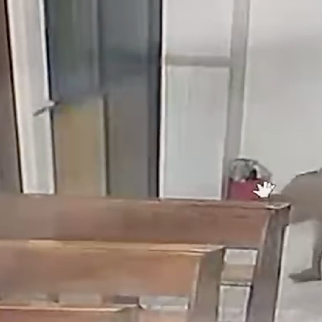 Asaltan Iglesia de Acayucan, Roban Alcancía de San Judas Tadeo