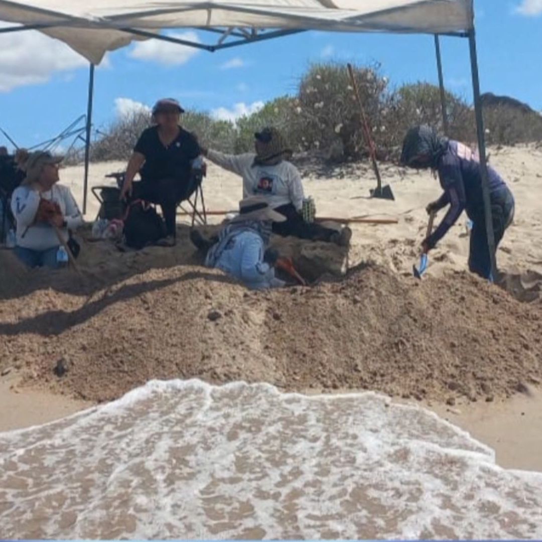 Encuentran Restos Humanos en Fosa Clandestina a la Orilla de la Playa en San Carlos, Sonora