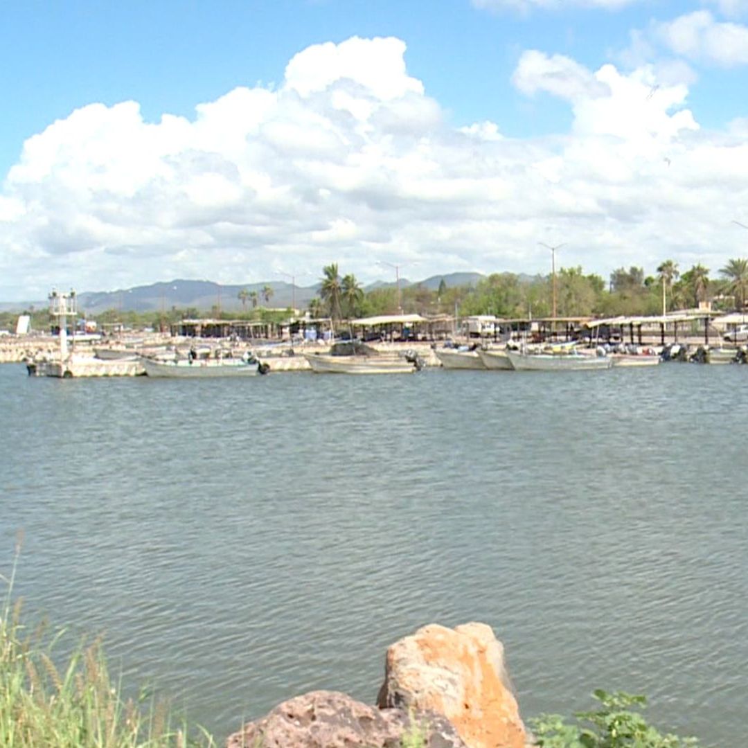 Encuentran Cuerpo Sin Vida Flotando en Isla de Pájaros en Guaymas, Sonora