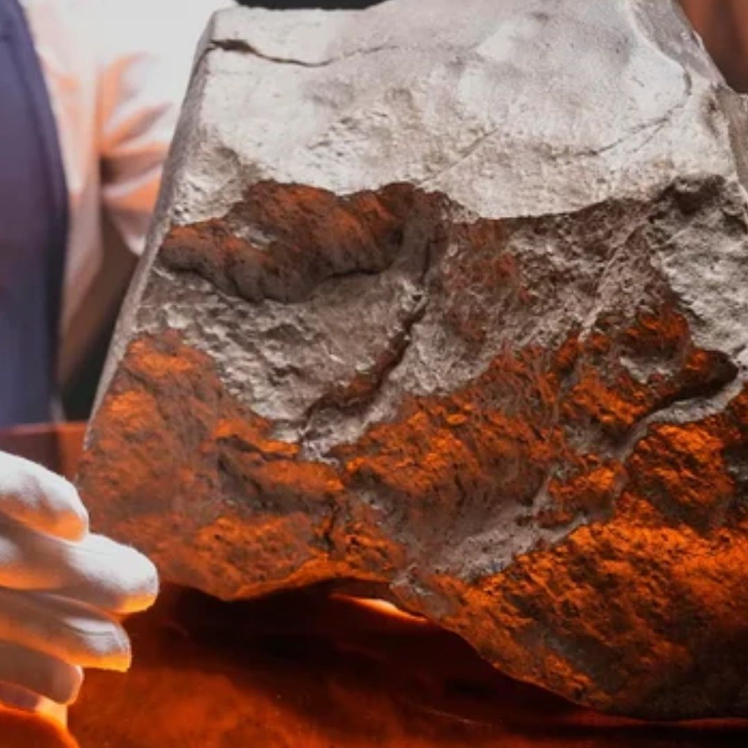 Subastan en EUA Meteorito Jamás Encontrado en la Tierra; Níger Denuncia Tráfico Ilícito