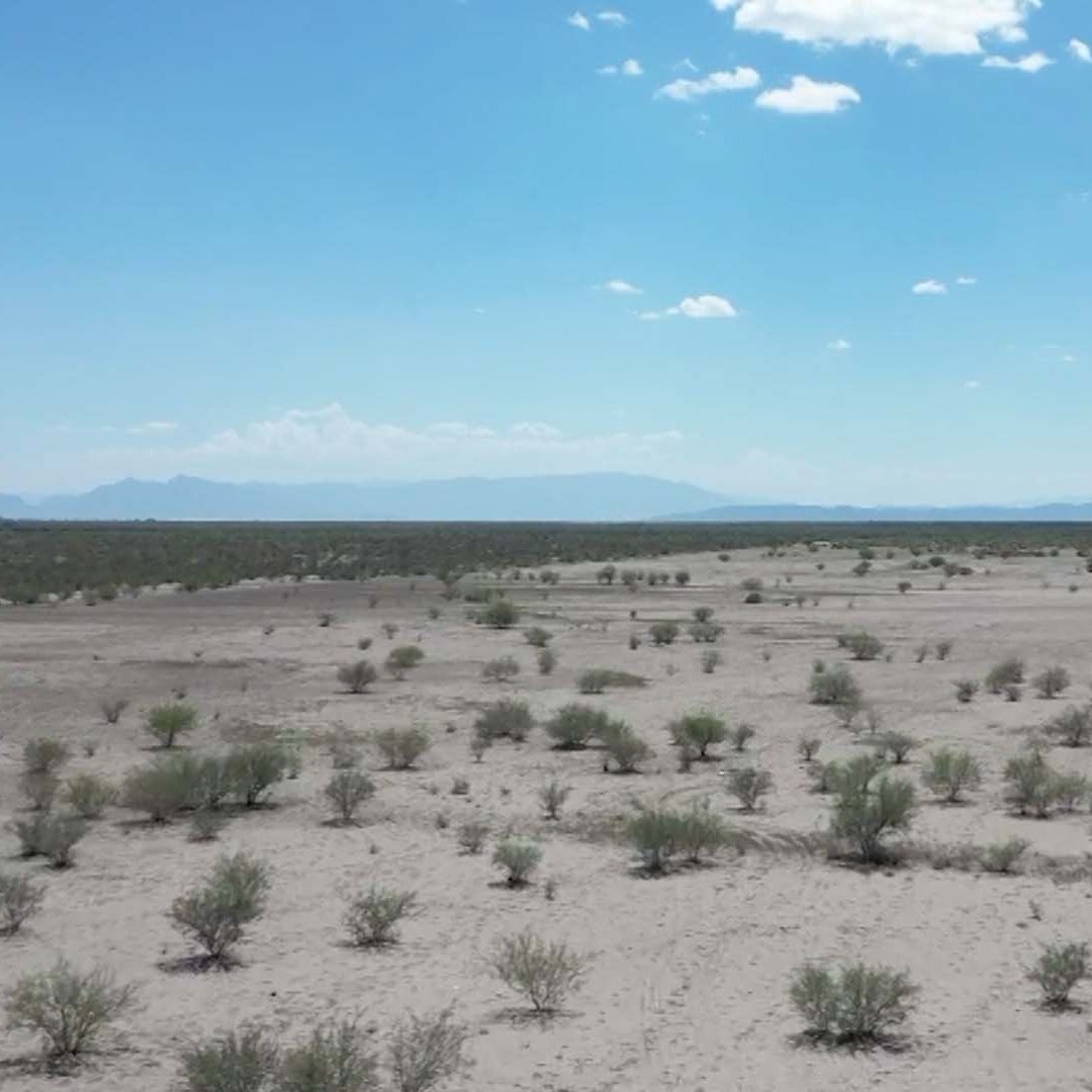 Encuentran a Persona Desaparecida Durante Búsqueda de Pablo Jared; Tenía 10 Días Caminando en el Desierto