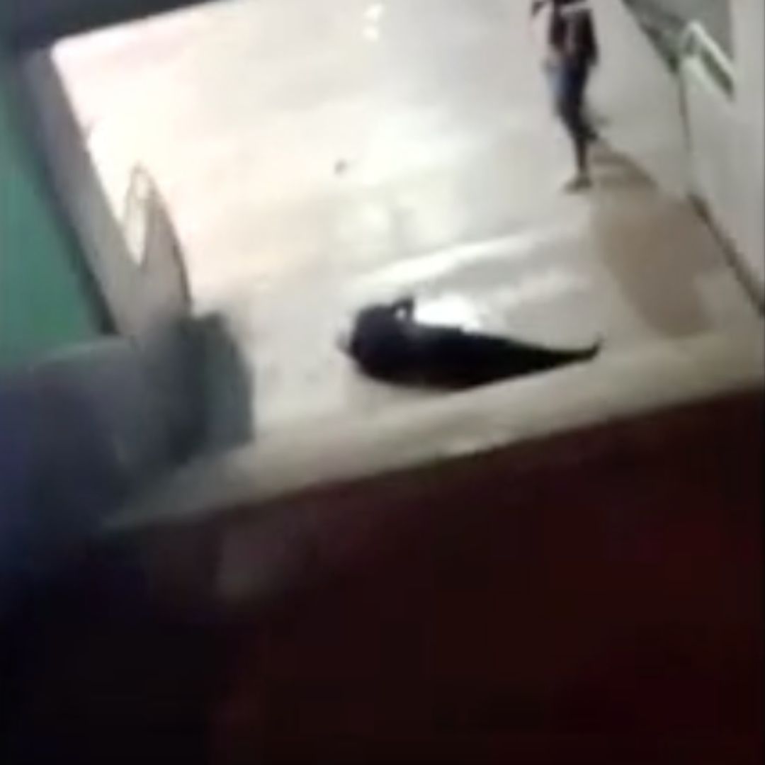 Cae adulto mayor de escaleras del metro