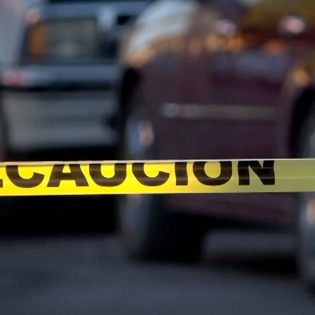 Muere Abuelito al Recibir 40 Picaduras de Abejas en Gómez Palacio