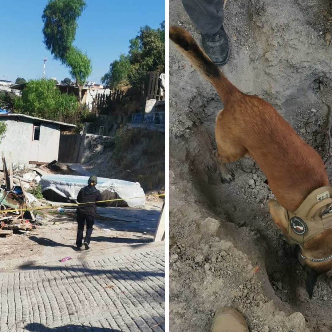 Encuentran Osamenta Enterrada en Vivienda de Tijuana; Podría Ser de Joven Desaparecido