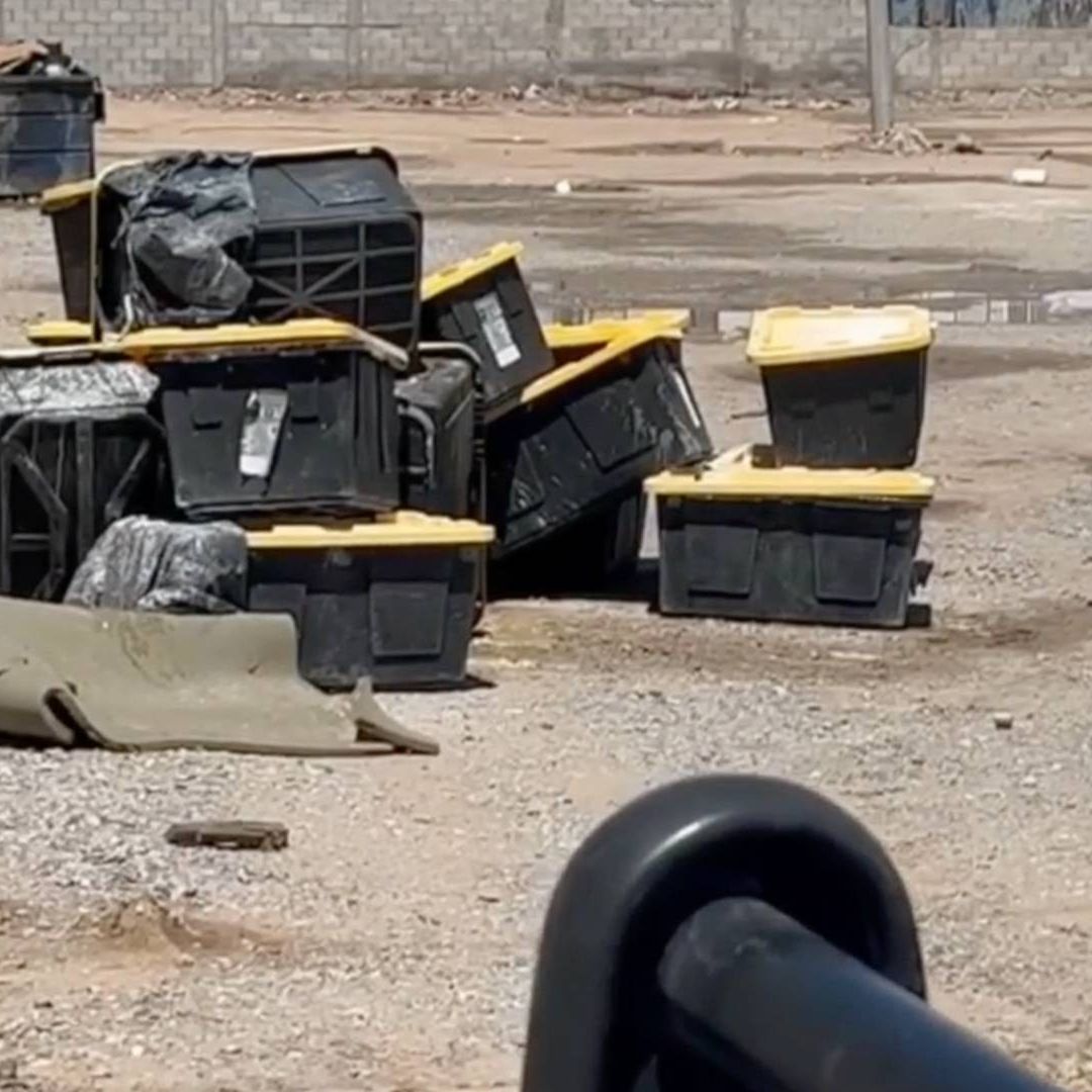 Hallan 15 Contenedores con Tortugas Muertas en el Interior en Terreno Baldío