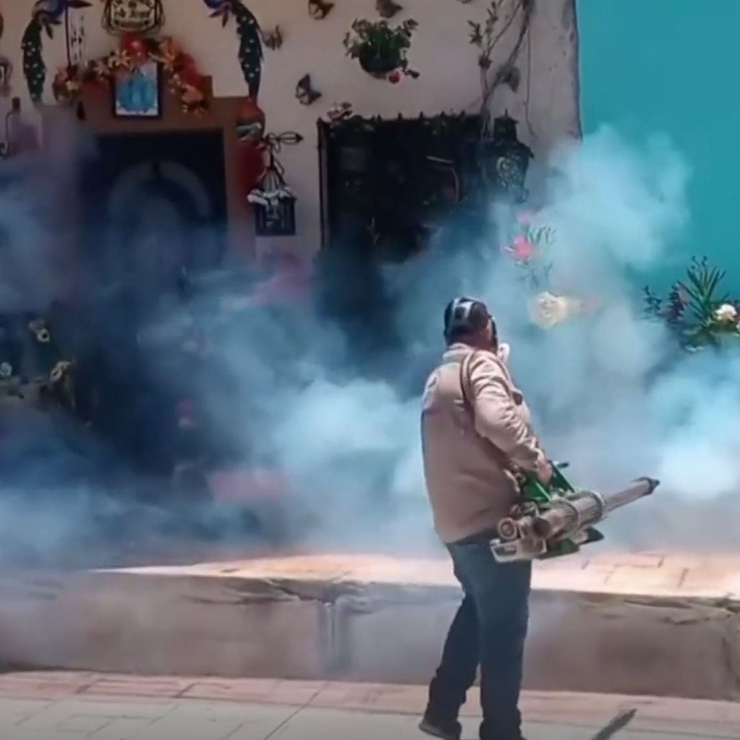 Mezquital del Oro, en Zacatecas, en Alerta Epidemiológica por Casos de Dengue