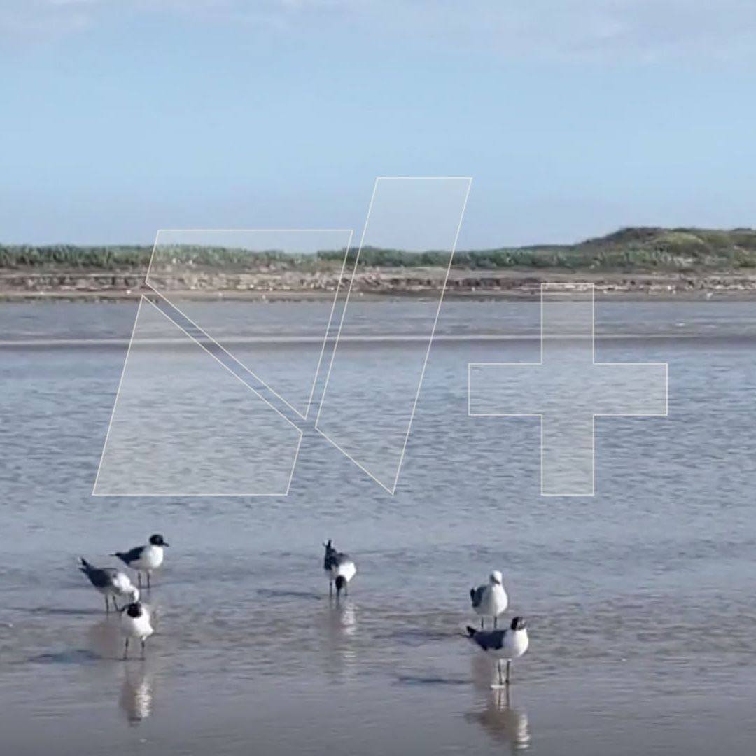 Realizarán Protesta Pacífica en Aguas del Golfo de México durante Lanzamiento de SpaceX