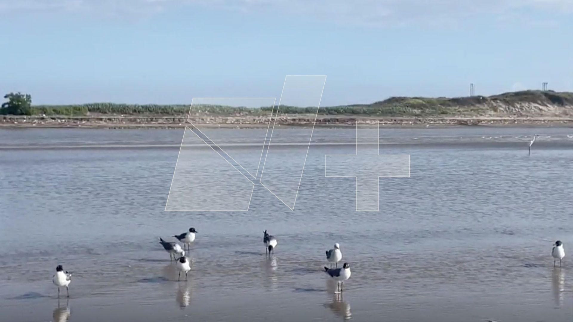 Realizarán Protesta Pacífica en Aguas del Golfo de México durante Lanzamiento de SpaceX
