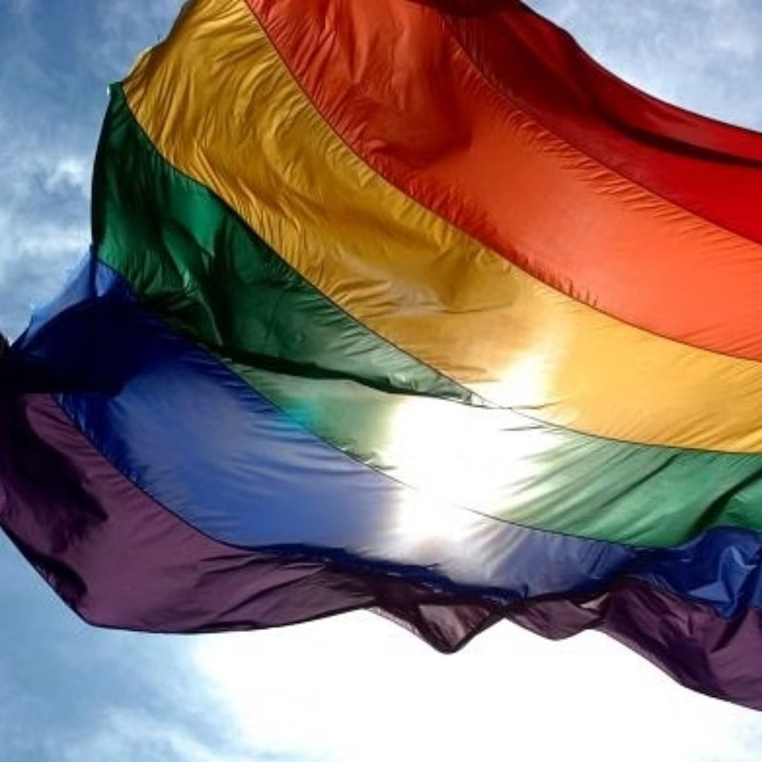 Bandera de organizaciones LGTBI