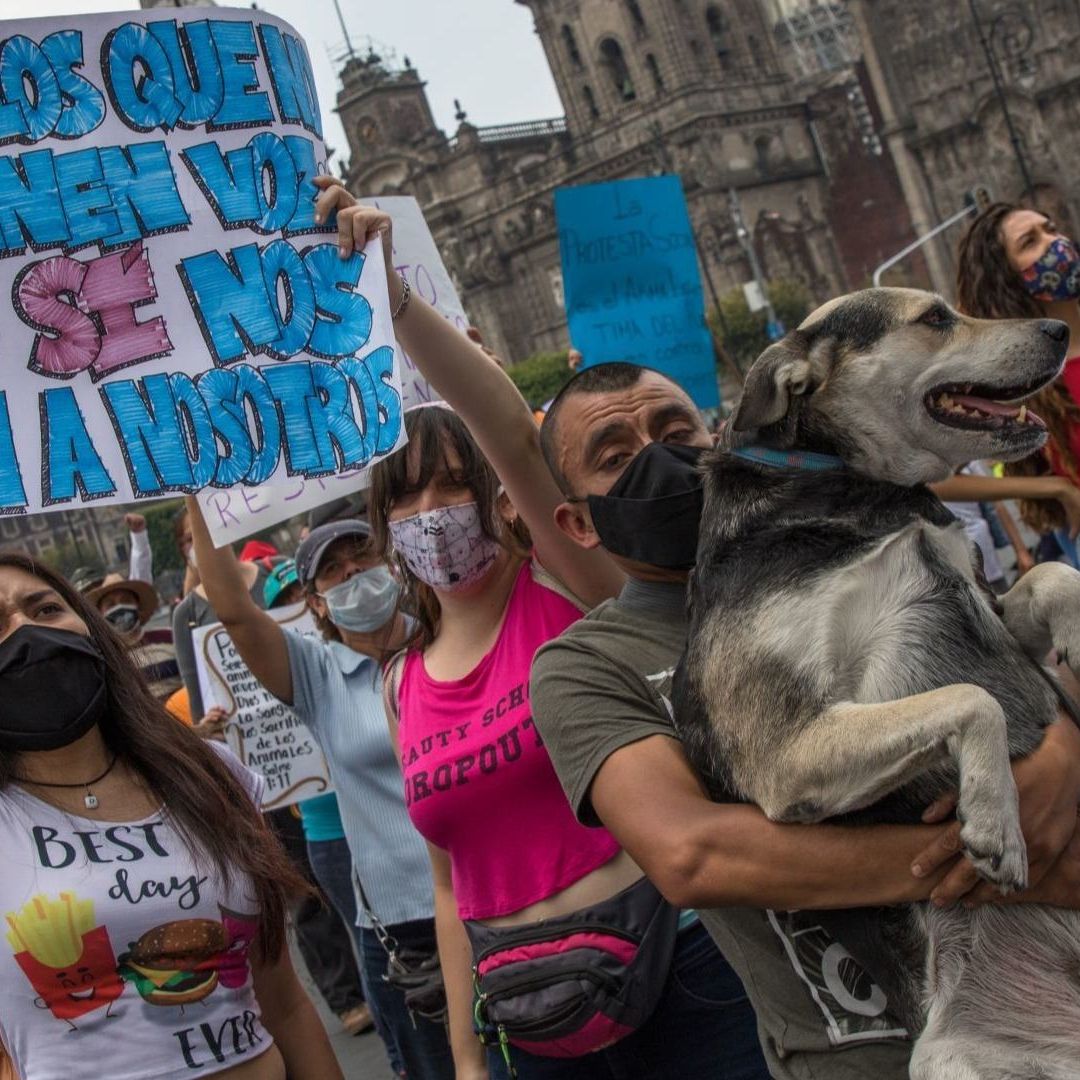 Marchas Hoy 15 de Agosto de 2024 en CDMX: Bloqueos y Concentraciones