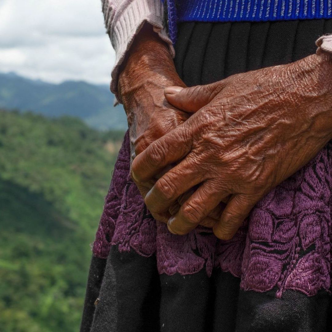 Manos de persona en alta montaña de Chiapas