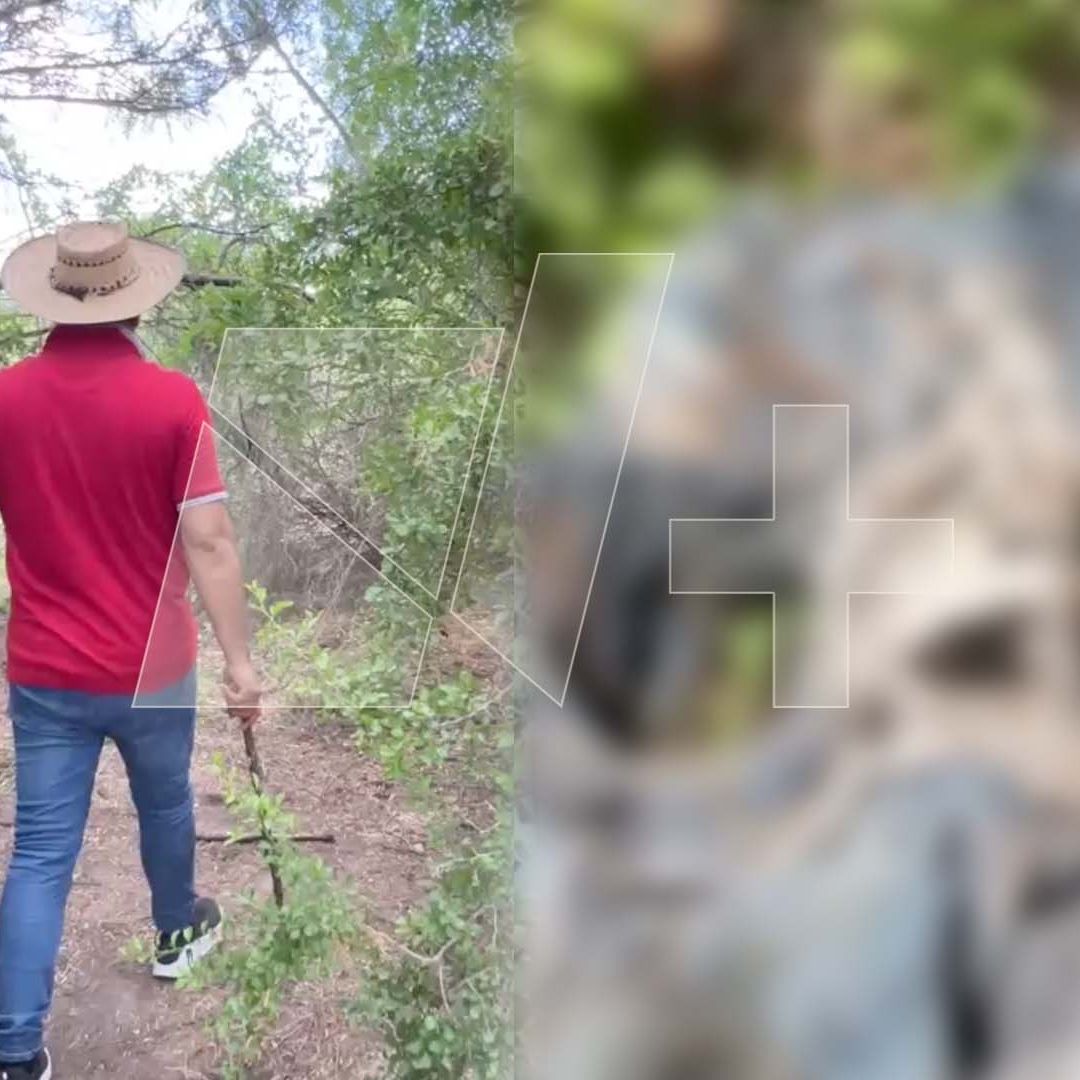 Colectivo de Búsqueda Localiza Restos Humanos en Brecha El Berrendo en Reynosa