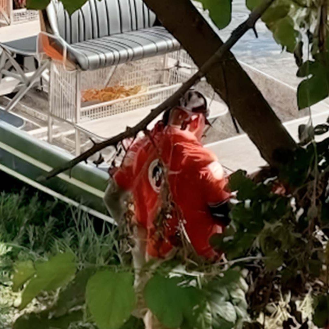 Muere Menor Ahogado en el Río Bravo