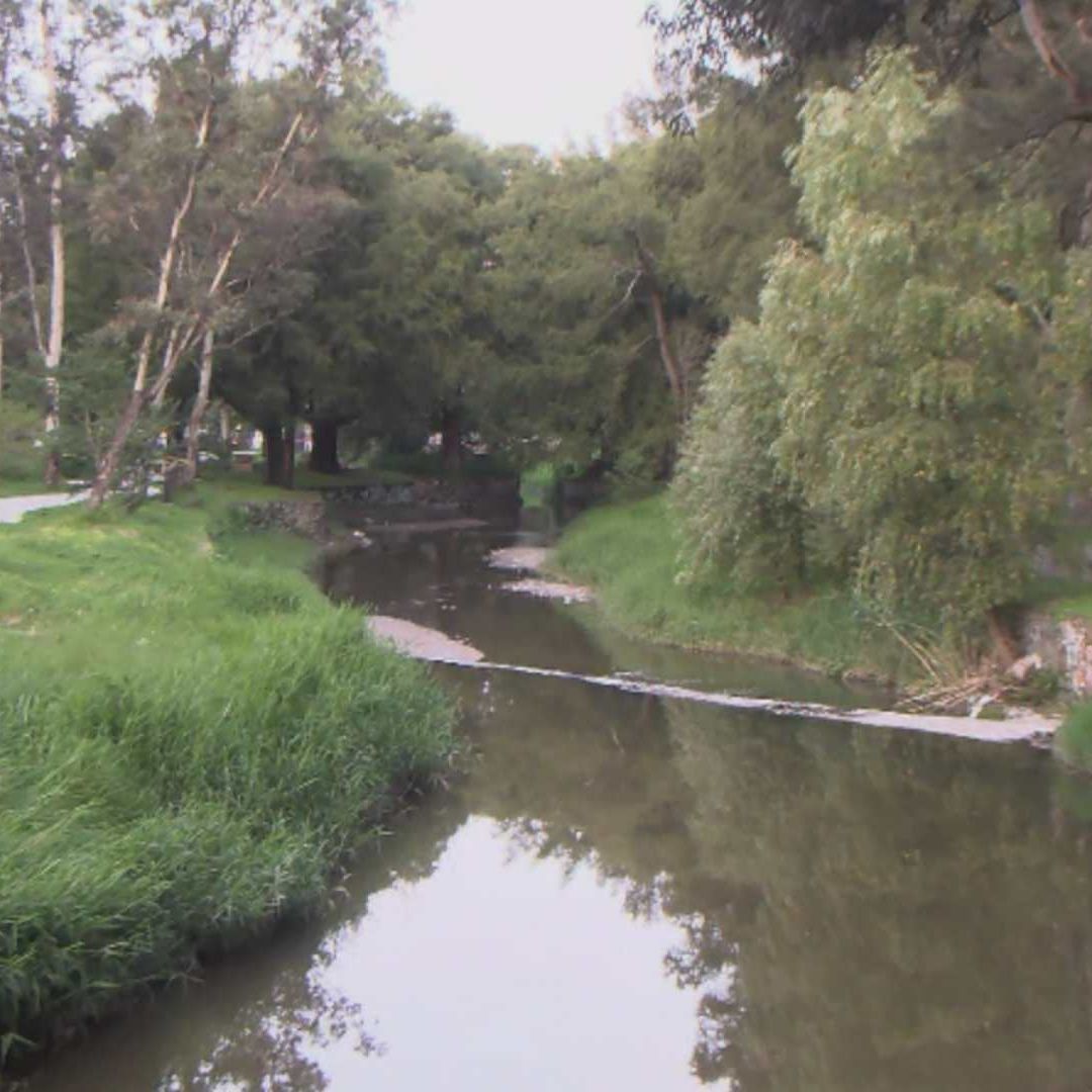 Encuentran el Cuerpo de una Mujer Que Realizaba Yoga Cerca del Canal de Patria
